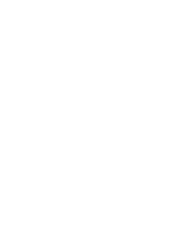 Professional real estate agent