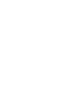 Real Estate Advisory